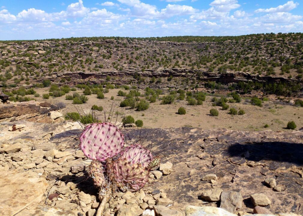New Mexico: Guadalupe County